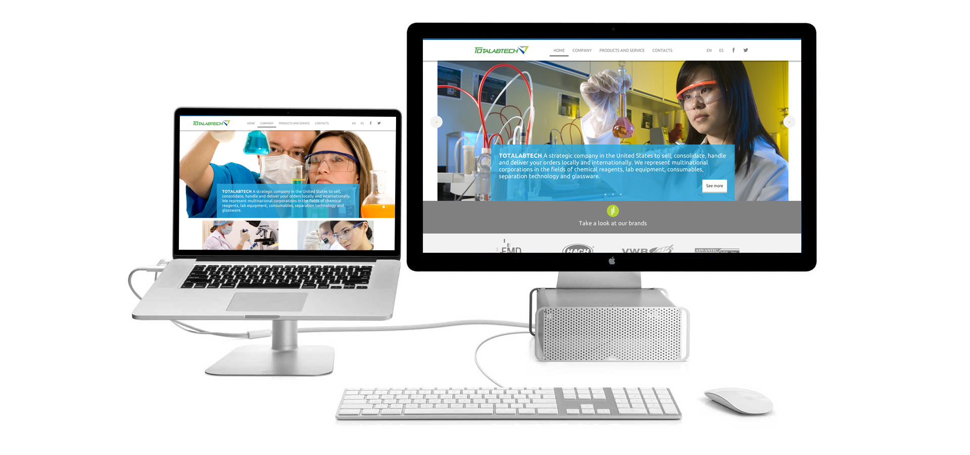 totalabtech diseño web